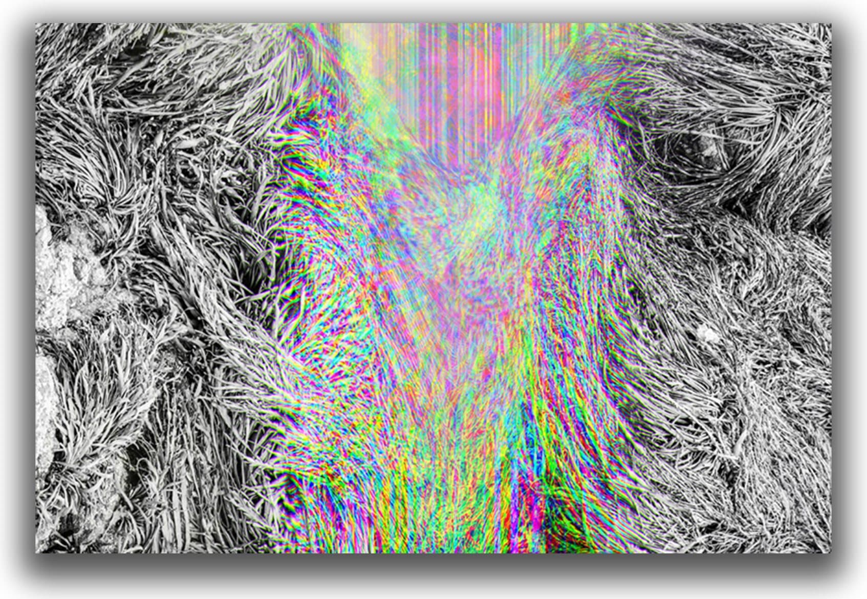 Chimera_02