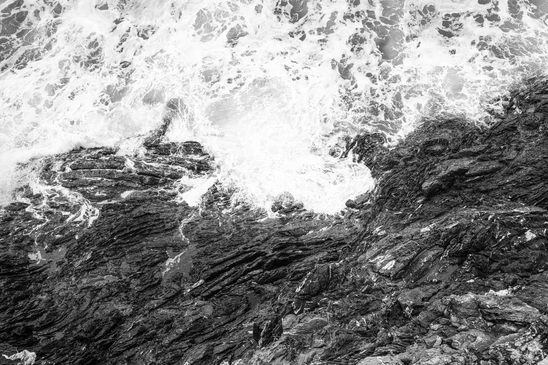 Spume