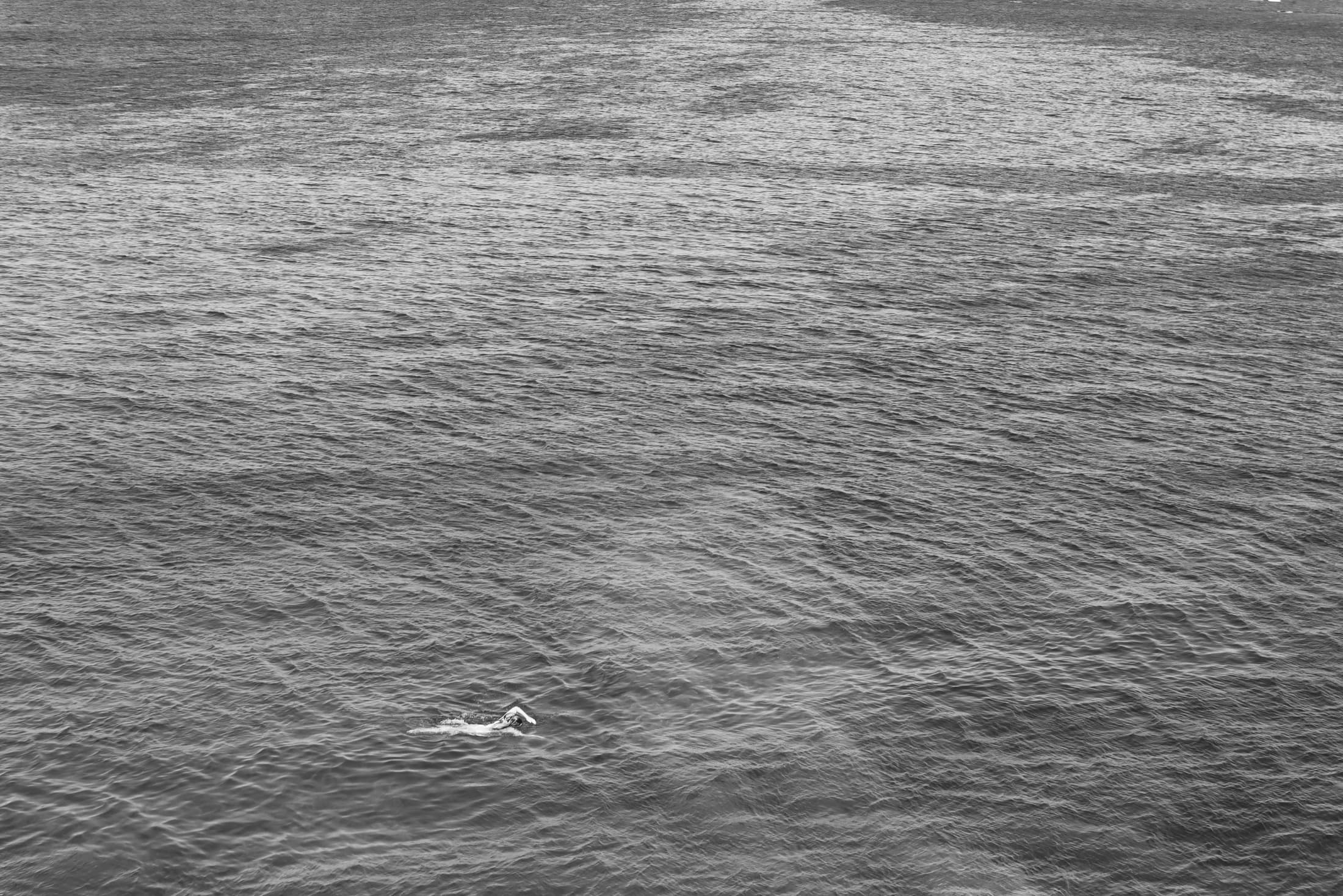 Swimmer